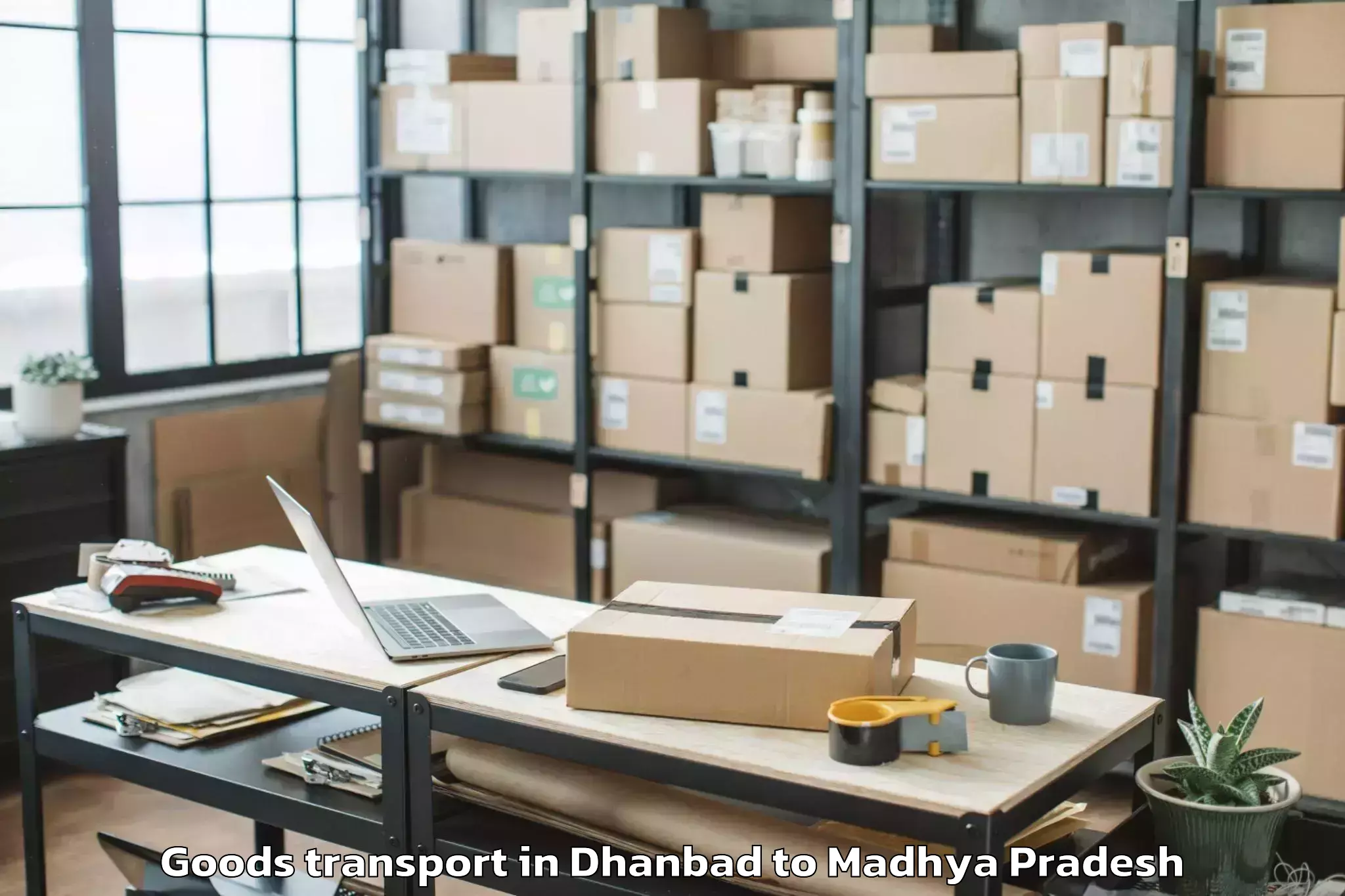 Quality Dhanbad to Maharajpur Goods Transport